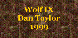 Text Box: Wolf IX Dan Taylor1999