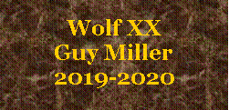 Text Box: Wolf XX Guy Miller2019-2020